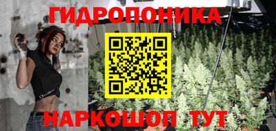 индика Шахты
